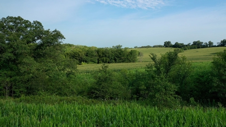 Farm For Sale - image 6