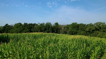 Farm For Sale - image 2