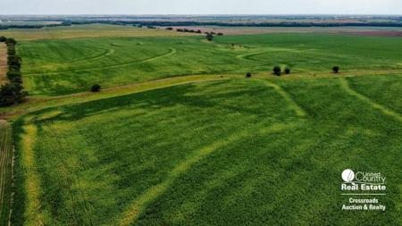 71± Acres of Farmland in Saline County, Kansas Land Auction - image 6