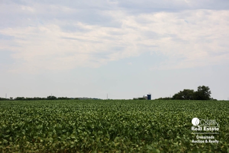 71± Acres of Farmland in Saline County, Kansas Land Auction - image 4