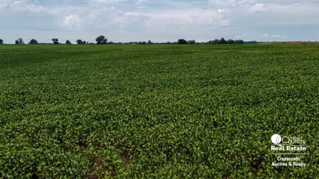 71± Acres of Farmland in Saline County, Kansas Land Auction - image 7