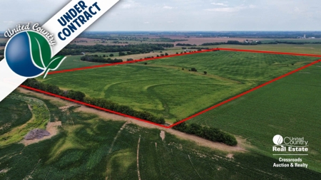 71± Acres of Farmland in Saline County, Kansas Land Auction - image 8