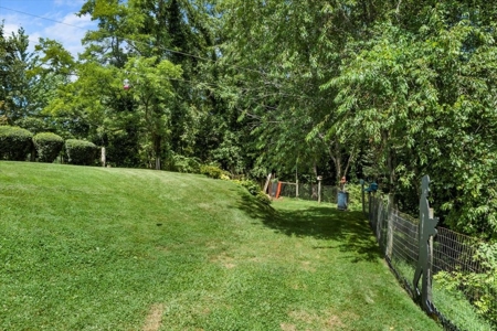 Country Home for Sale in Pilot VA - image 44