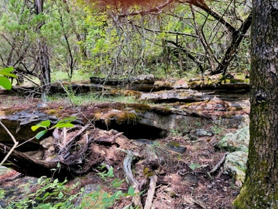 Baxter County Acreage For Sale - image 12