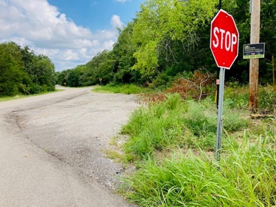 Baxter County Acreage For Sale - image 7