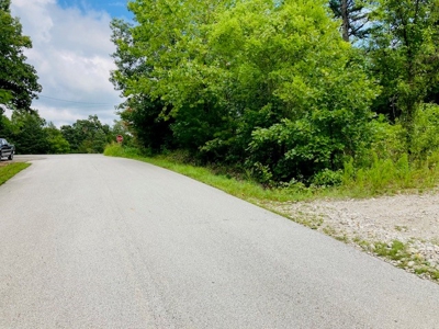 Baxter County Acreage For Sale - image 5