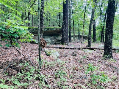 Baxter County Acreage For Sale - image 4