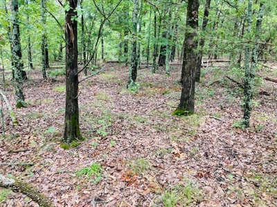 Baxter County Acreage For Sale - image 1