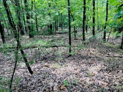 Baxter County Acreage For Sale - image 3