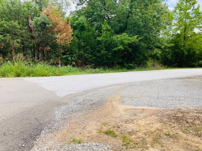 Baxter County Acreage For Sale - image 9