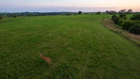 Monroe County Acreage For Sale with Hunting Opportunities - image 25