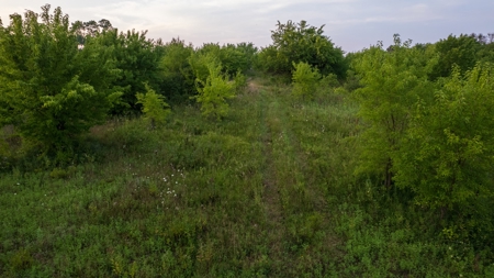 Monroe County Acreage For Sale with Hunting Opportunities - image 19