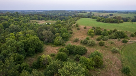 Monroe County Acreage For Sale with Hunting Opportunities - image 28