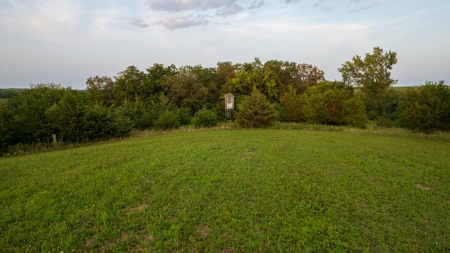 Monroe County Acreage For Sale with Hunting Opportunities - image 14