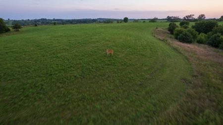 Monroe County Acreage For Sale with Hunting Opportunities - image 24