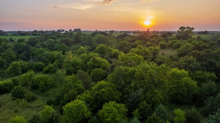 Monroe County Acreage For Sale with Hunting Opportunities - image 17