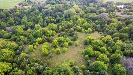 Monroe County Acreage For Sale with Hunting Opportunities - image 20