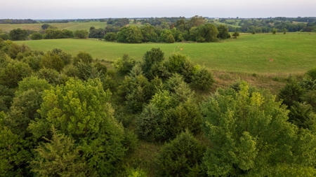 Monroe County Acreage For Sale with Hunting Opportunities - image 22
