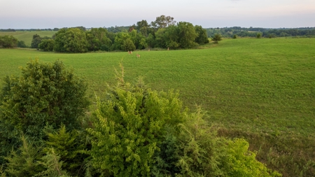 Monroe County Acreage For Sale with Hunting Opportunities - image 23