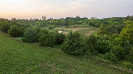Monroe County Acreage For Sale with Hunting Opportunities - image 13