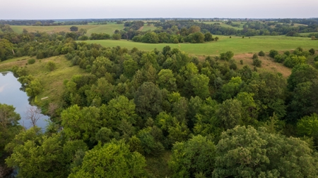 Monroe County Acreage For Sale with Hunting Opportunities - image 21
