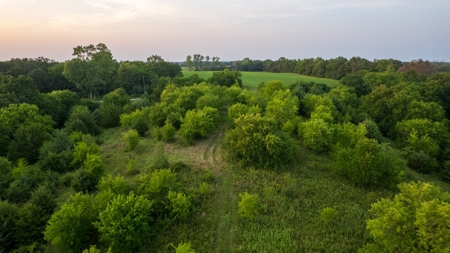 Monroe County Acreage For Sale with Hunting Opportunities - image 16