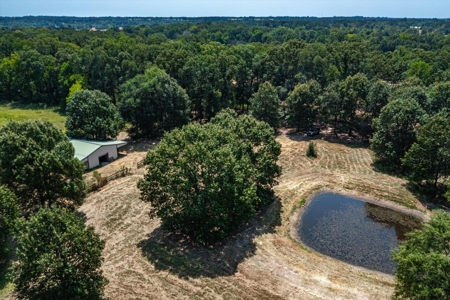 Charming Country Home in Texas - image 9