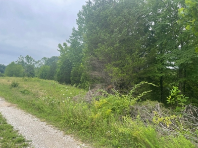 21 acre hunters paradise for sale near Morgantown, Ky. - image 6