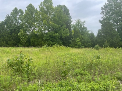 21 acre hunters paradise for sale near Morgantown, Ky. - image 1