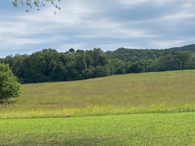 Table Rock Lake Front For Sale In Arkansas - image 7