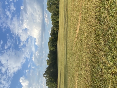 Table Rock Lake Front For Sale In Arkansas - image 11