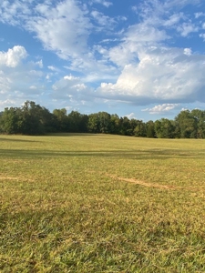 Table Rock Lake Front For Sale In Arkansas - image 6