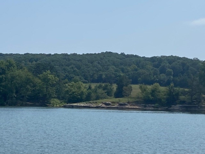 Table Rock Lake Front For Sale In Arkansas - image 5