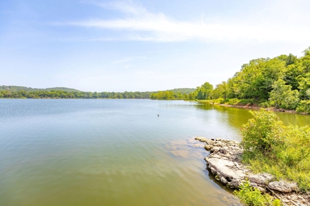 Table Rock Lake Front For Sale In Arkansas - image 10