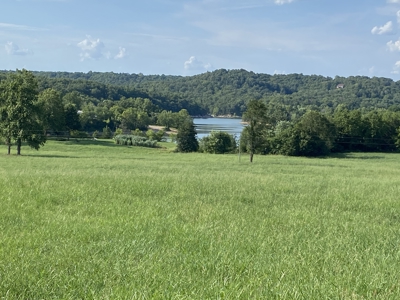 Table Rock Lake Front For Sale In Arkansas - image 10