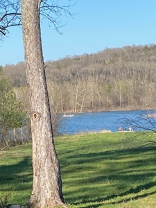 Lakefront Land And Home For Sale In Arkansas - image 20