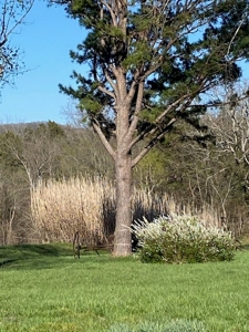Lakefront Land And Home For Sale In Arkansas - image 4