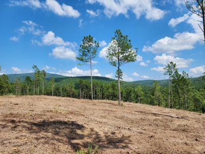 Off-Grid Mountain Homestead Property – Scenic Views - image 1