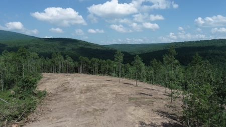 Off-Grid Mountain Homestead Property – Scenic Views - image 5