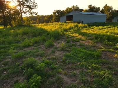 Land For Sale Cedar County Mo - image 30