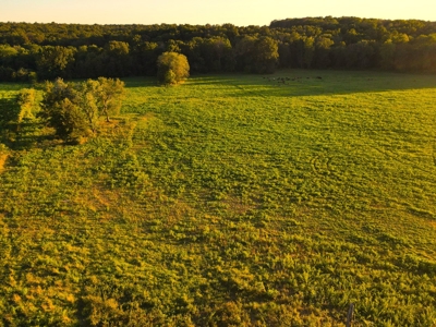 Land For Sale Cedar County Mo - image 32