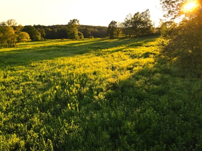 Land For Sale Cedar County Mo - image 27