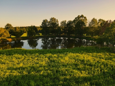 Land For Sale Cedar County Mo - image 14