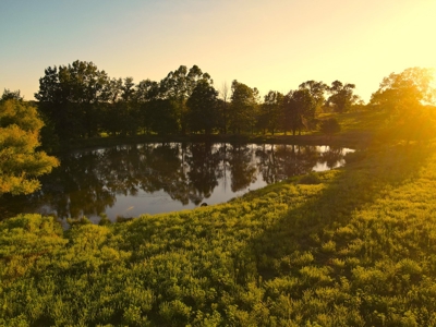 Land For Sale Cedar County Mo - image 13