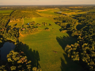 Land For Sale Cedar County Mo - image 5