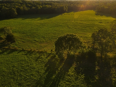 Land For Sale Cedar County Mo - image 1