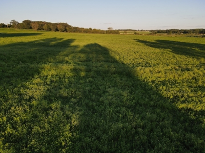 Land For Sale Cedar County Mo - image 29