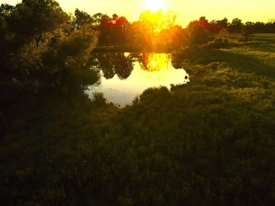 Land For Sale Cedar County Mo - image 25
