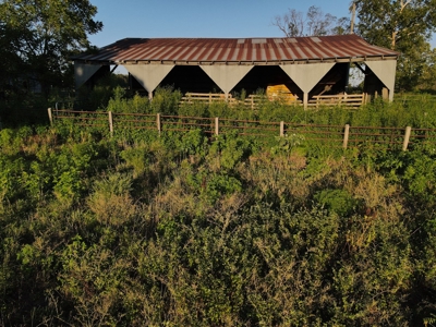 Land For Sale Cedar County Mo - image 10