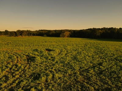 Land For Sale Cedar County Mo - image 7